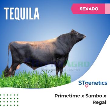 TEQUILA SEXADO - imagen 1
