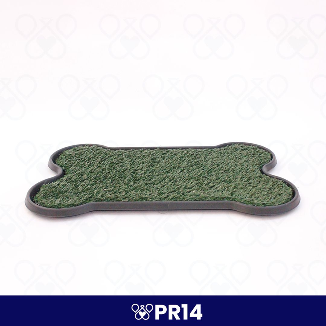 PR14