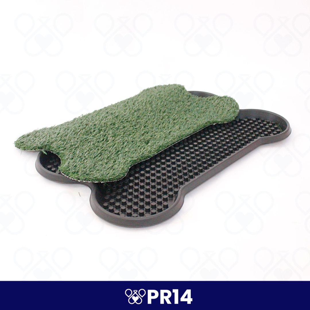 PR14