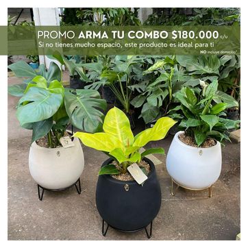 PROMO ARMA TU COMBO - imagen 1