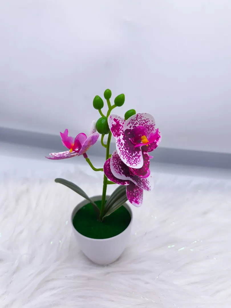 MATERO ORQUIDEA JM013