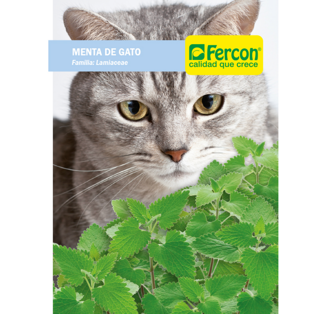 MENTA PARA GATOS