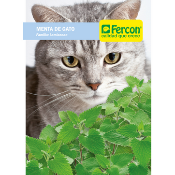 Imagen del producto MENTA PARA GATOS