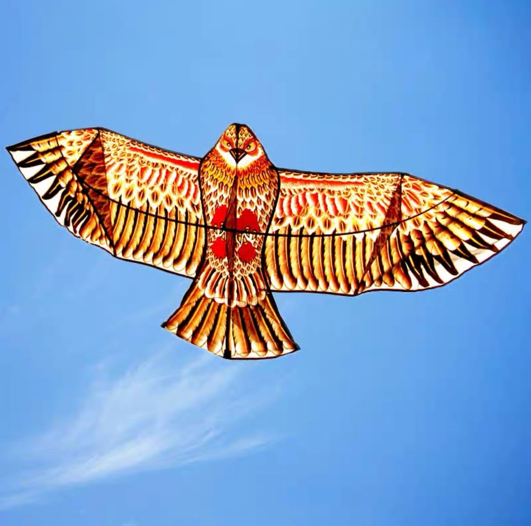 COMETA AGUILA