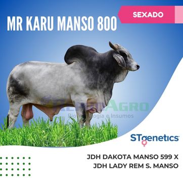 MR KARU MANSO SEXADO - imagen 1