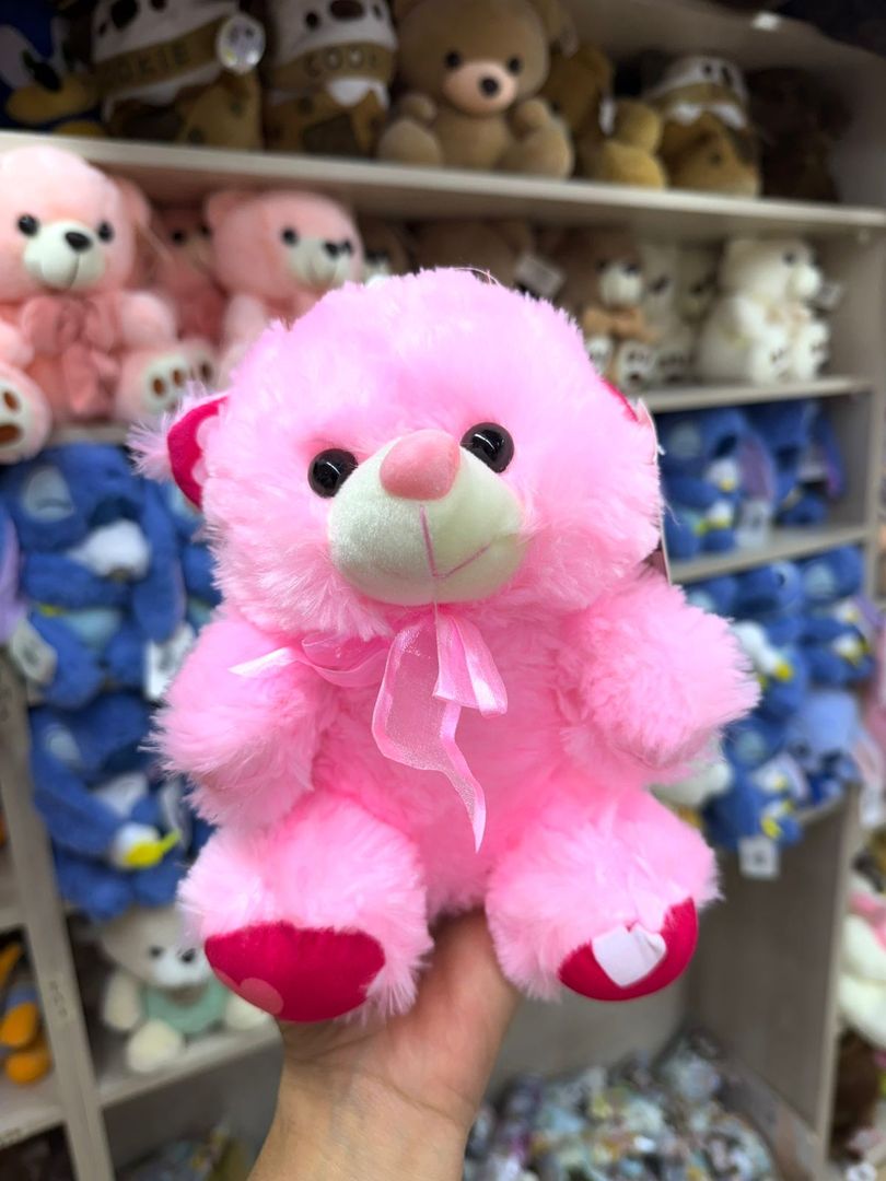 OSO ANCHETERO ANIMALES Y OSOS