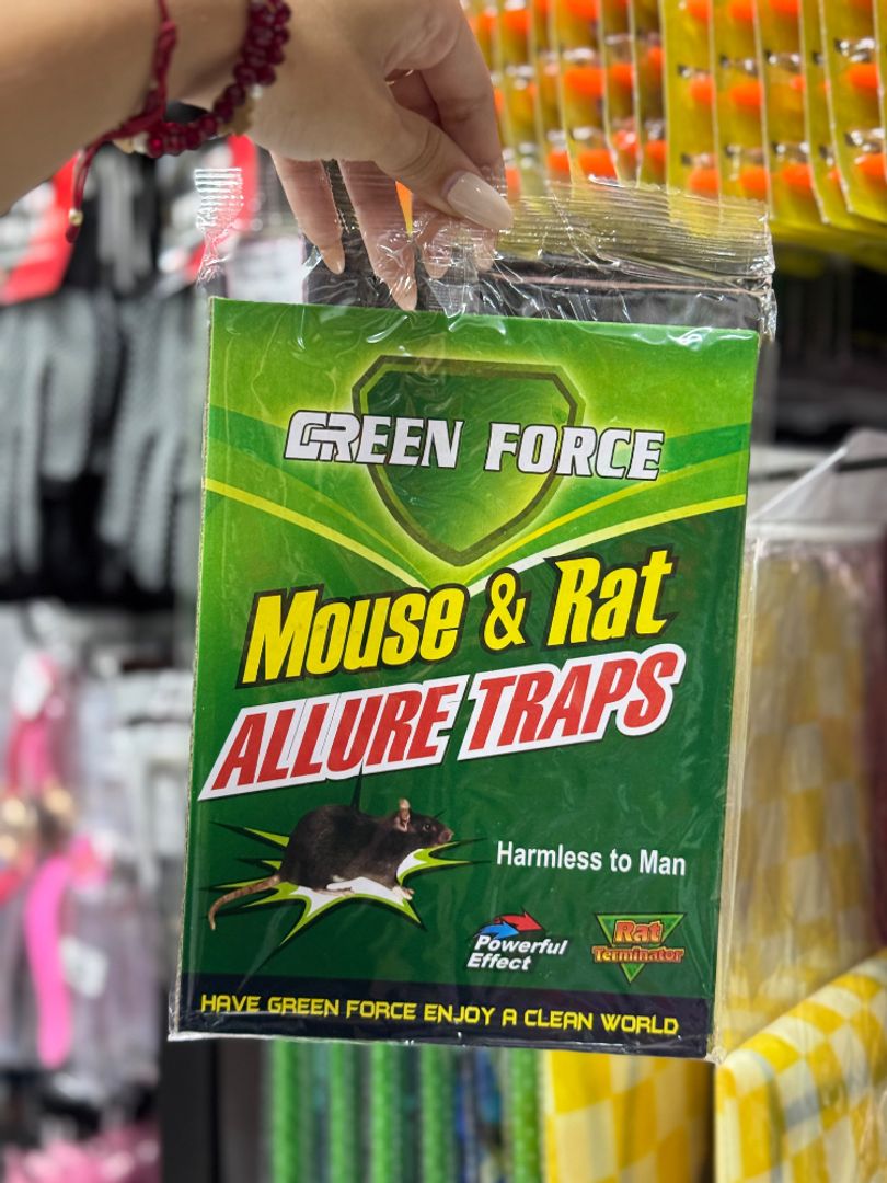 Trampa Adhesiva para Ratas y Ratones