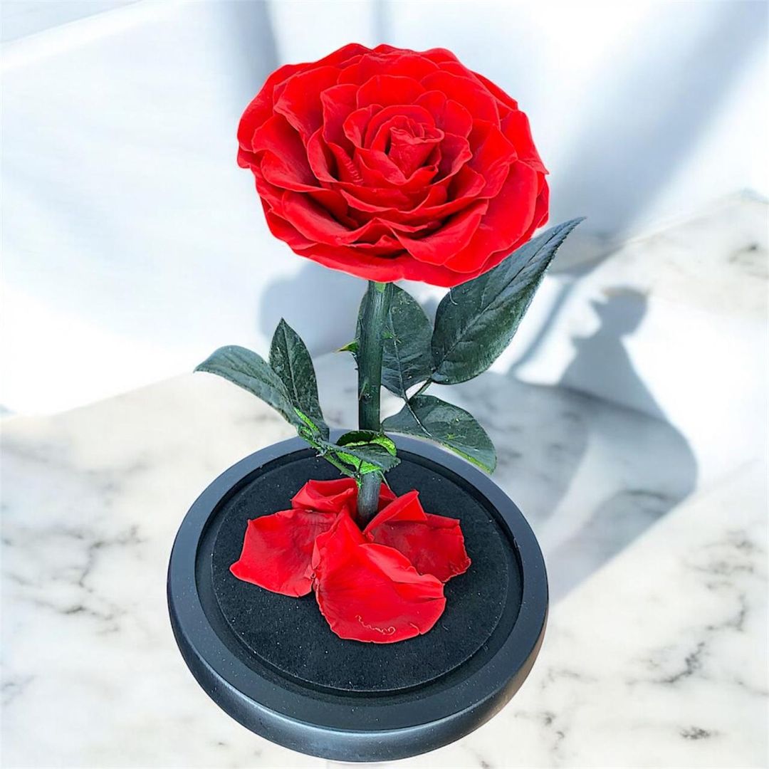 ROSA PRESERVADA O ETERNIZADA