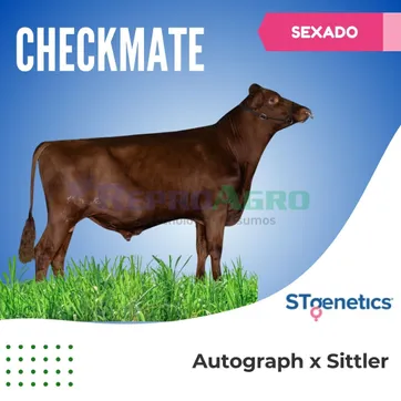 CHECKMATE SEXADO - imagen 1