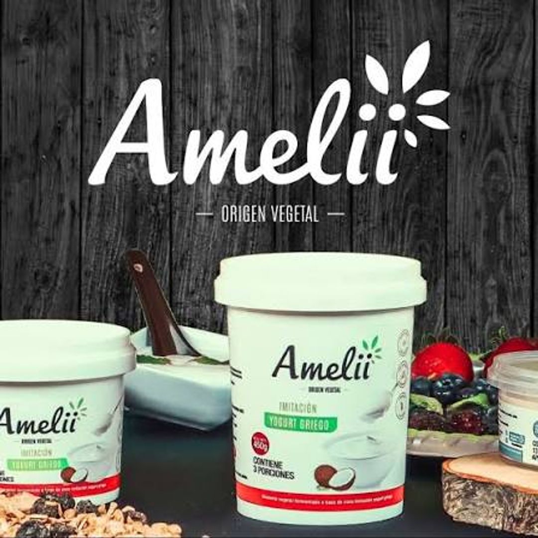 YOGURT GRIEGO DE COCO AMELII*1000G