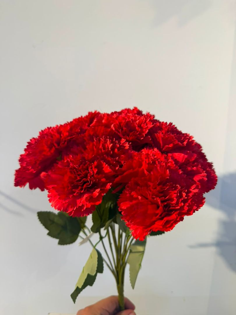 CLAVEL X 18 ROJA