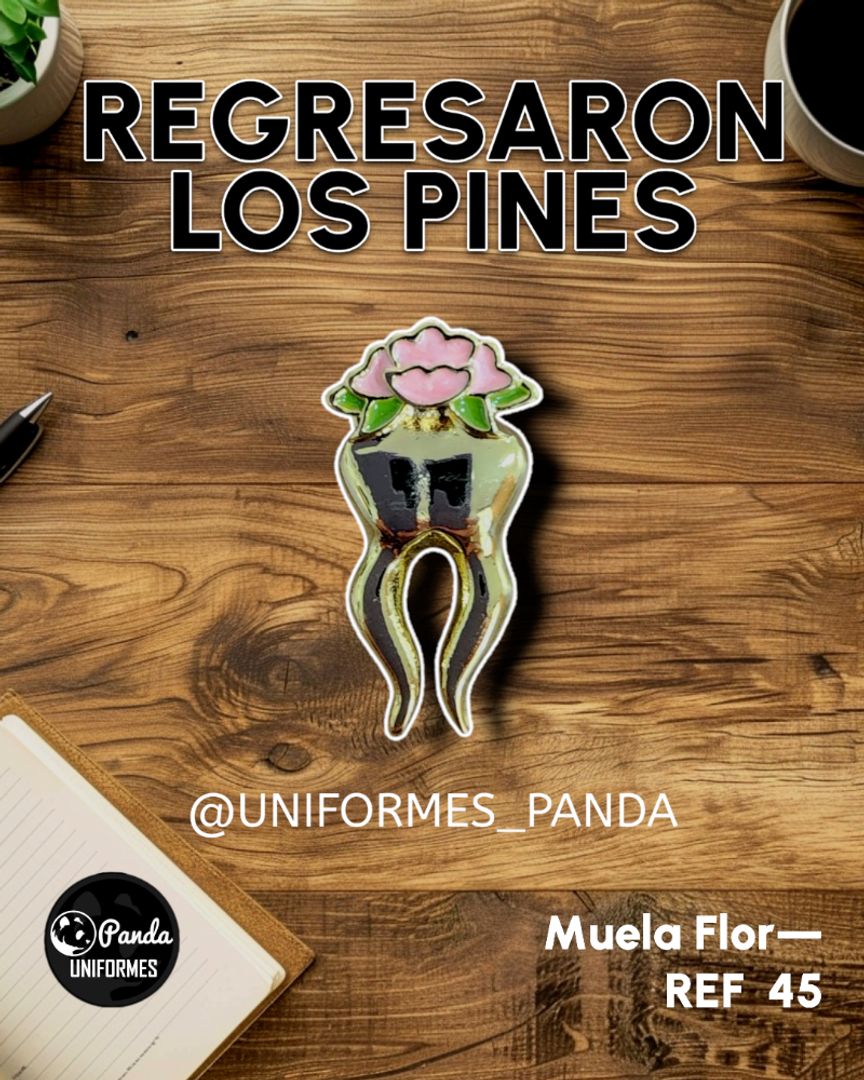  PIN MUELITA