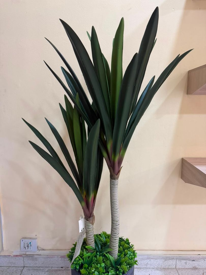 PLANTA TIPO PALMA DELGADA X 2