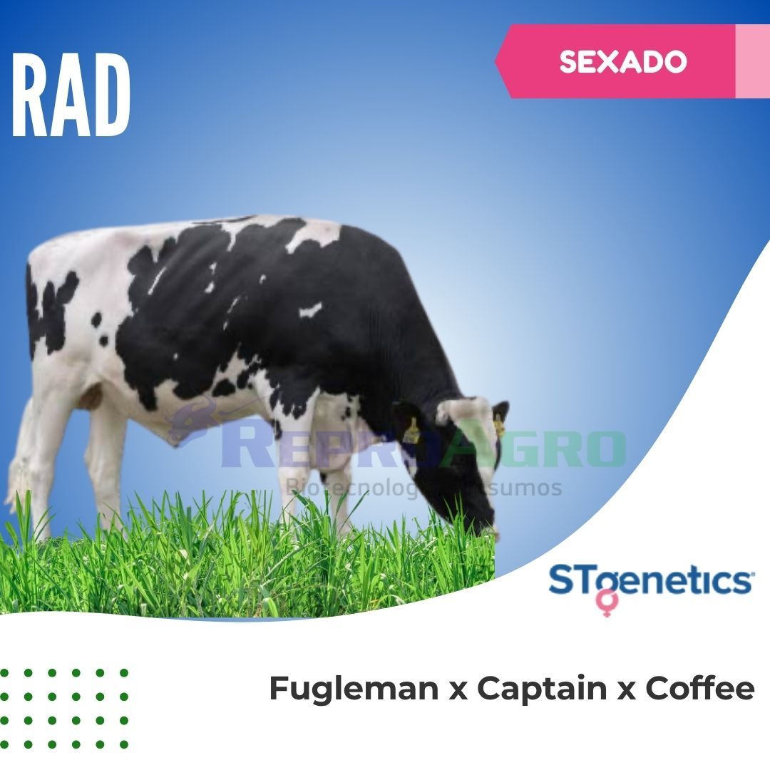 RAD SEXADO