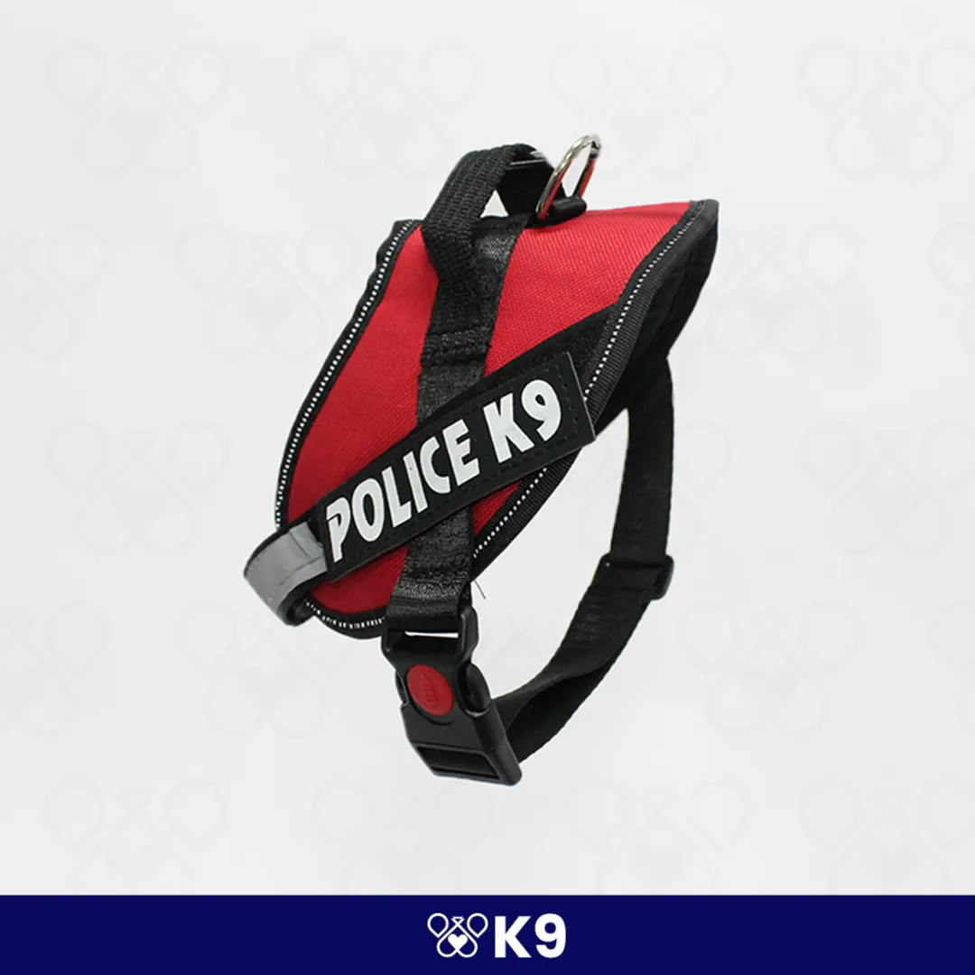 K9-