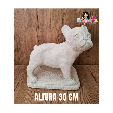 Imagen del producto BULL DOG BASE