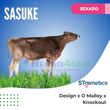SASUKE SEXADO - imagen 1
