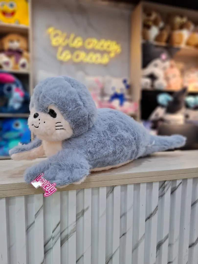 FOCA 60CM