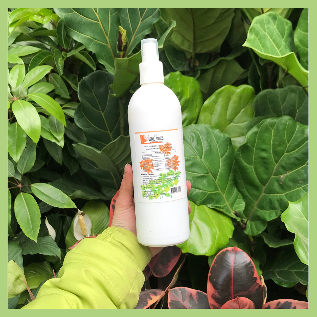 INSECTICIDA ORGANICO