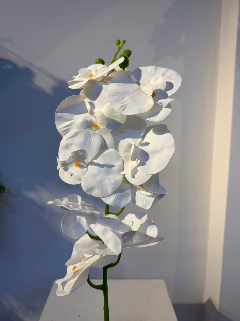 ORQUIDEA EN VARA X 9