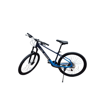 Imagen del producto BICICLETA  LLP-C003