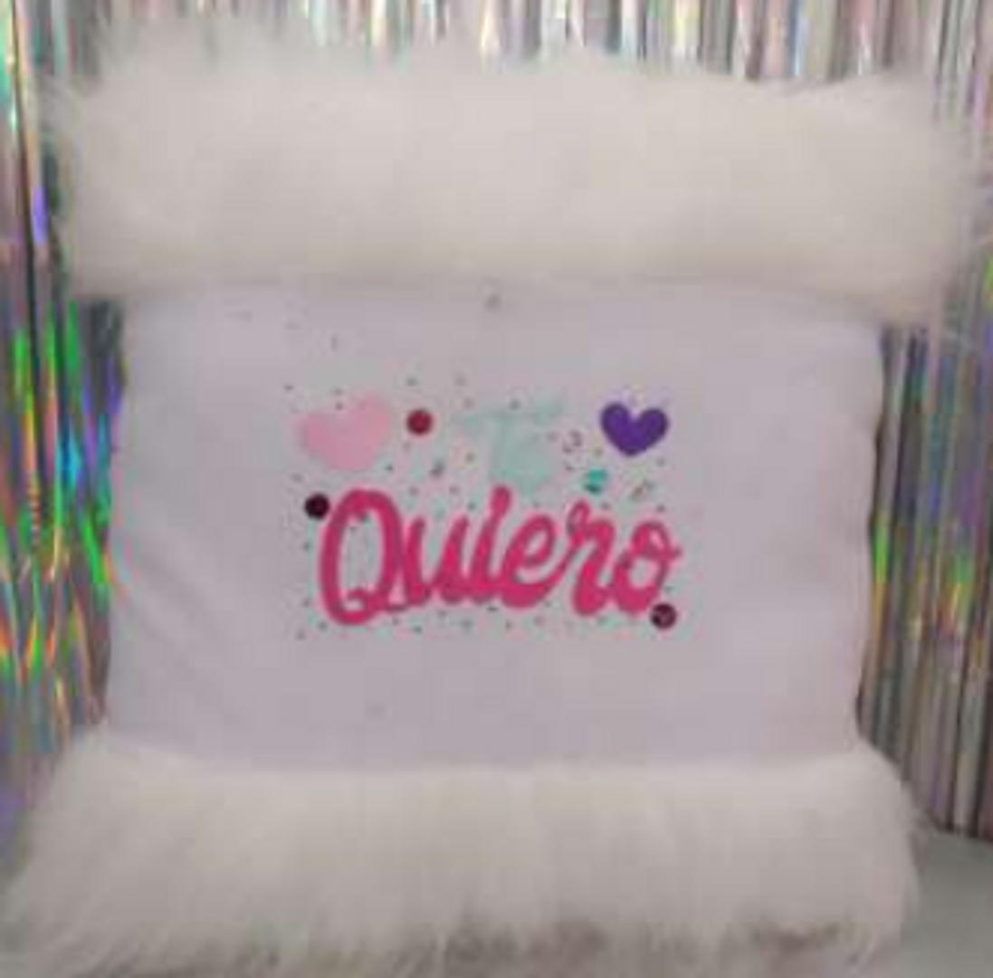 COJIN ESTAMPADO