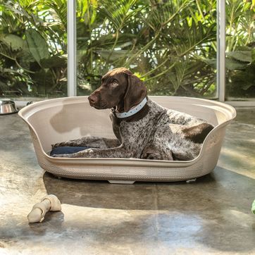 CAMA PARA PERRO - imagen 1