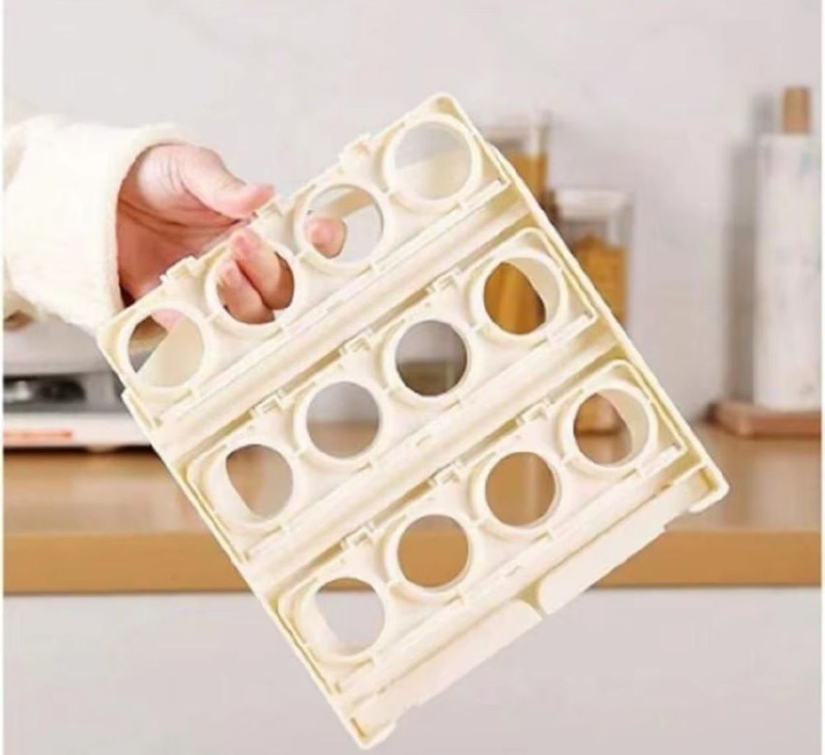 ORGANIZADOR DE HUEVOS 