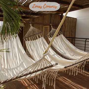 CASA CAROLINA - imagen 4