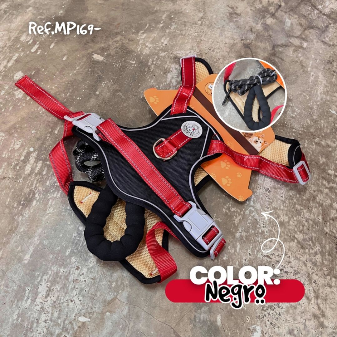 MP169-