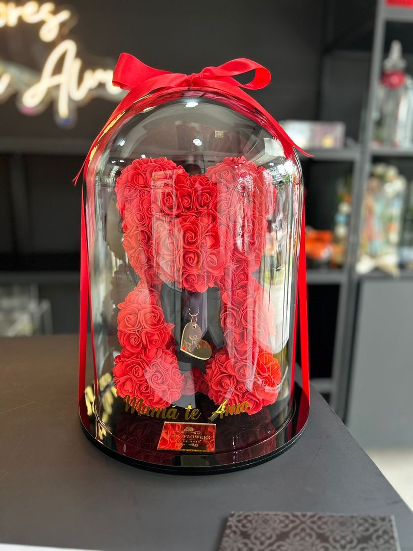 OSO EN CÚPULA DE VIDRIO