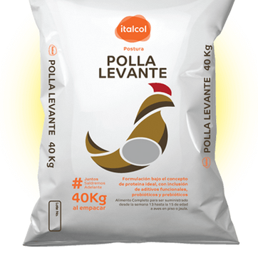 ITALCOL POLLA LEVANTE 40 Kilos - imagen 1
