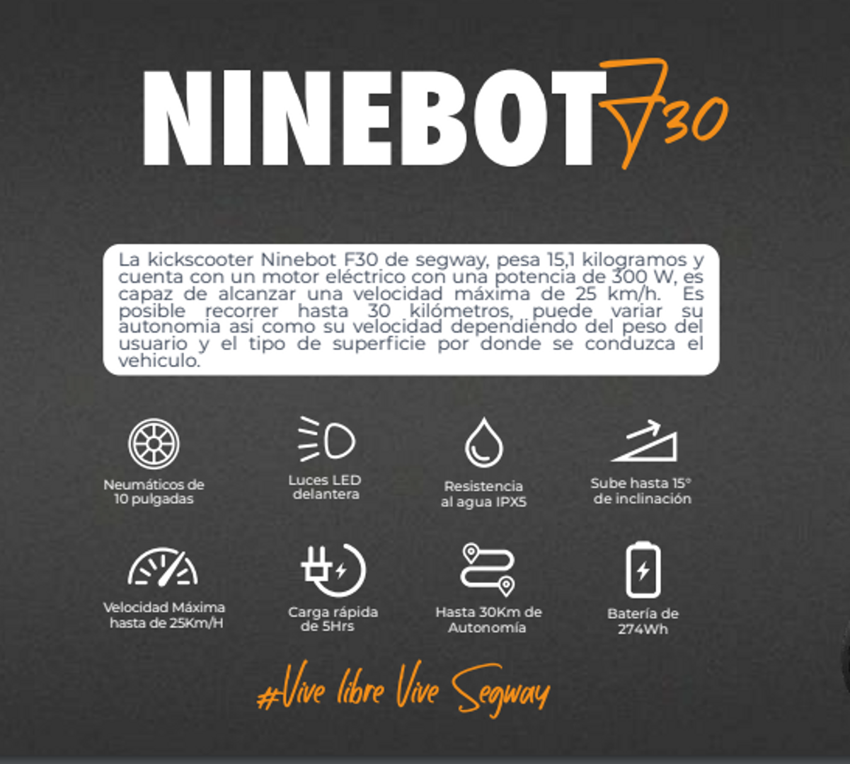 NINEBOT KICK SCOOTER F30