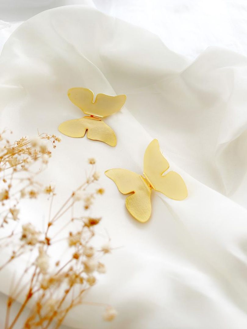 Topo mariposa 