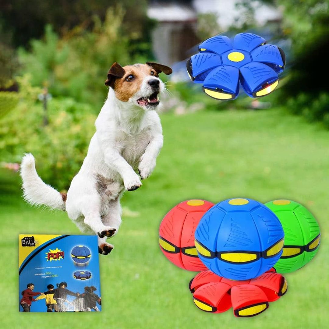 Pelota Pop Frisbee