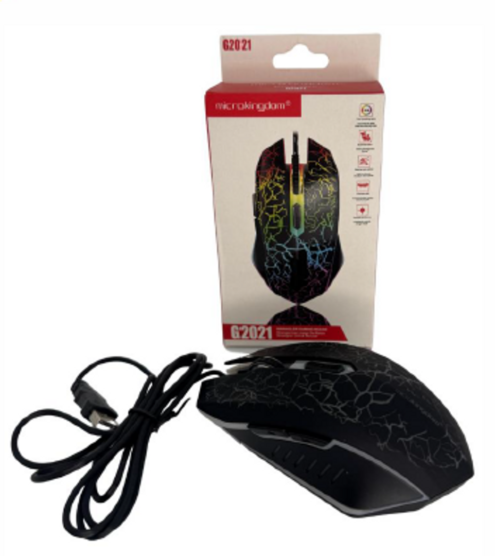 MOUSE G2021