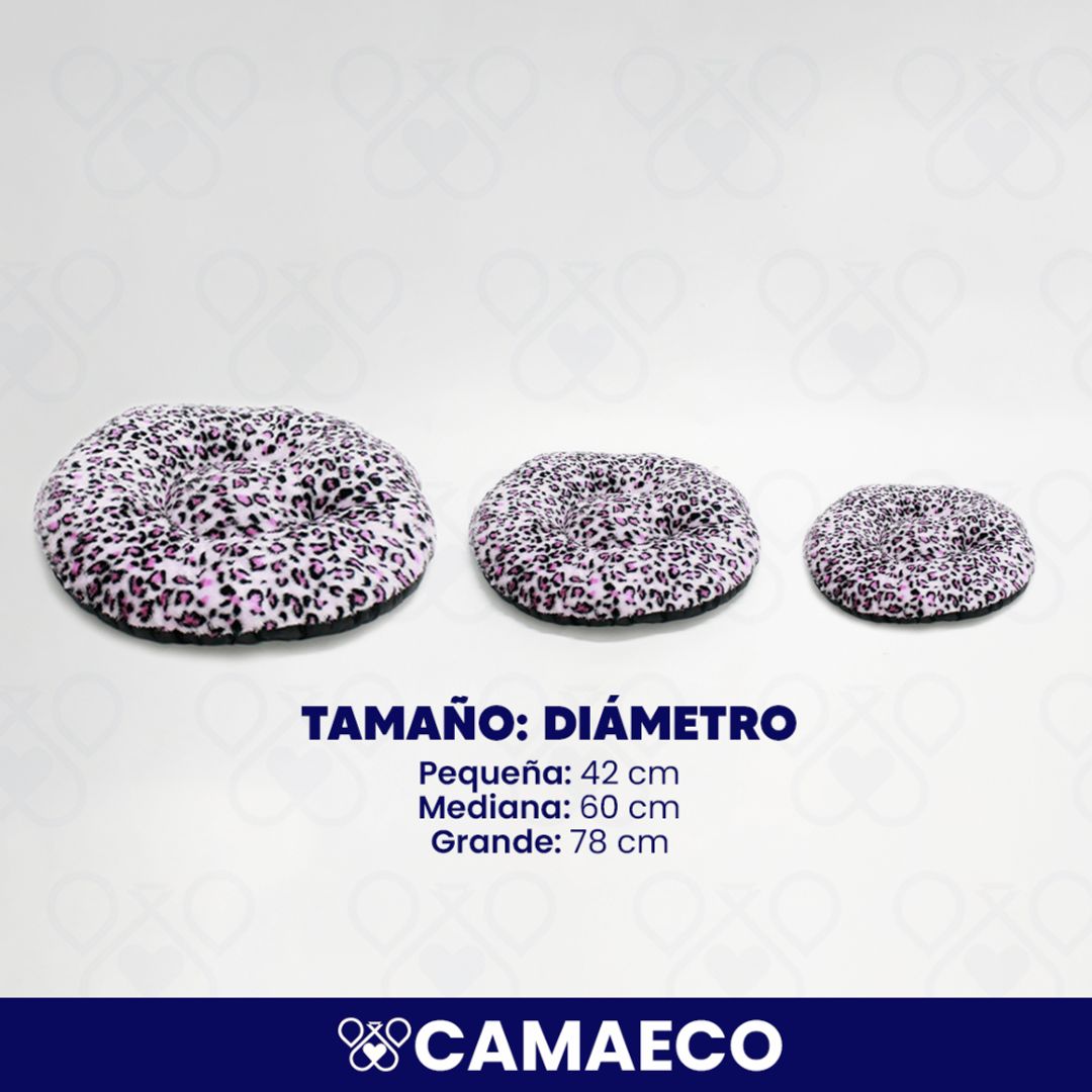 CAMAECO CIRCULAR
