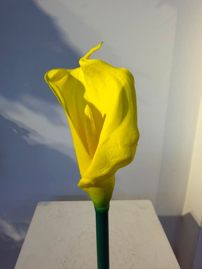CARTUCHO EN ESPUMADO AMARILLO