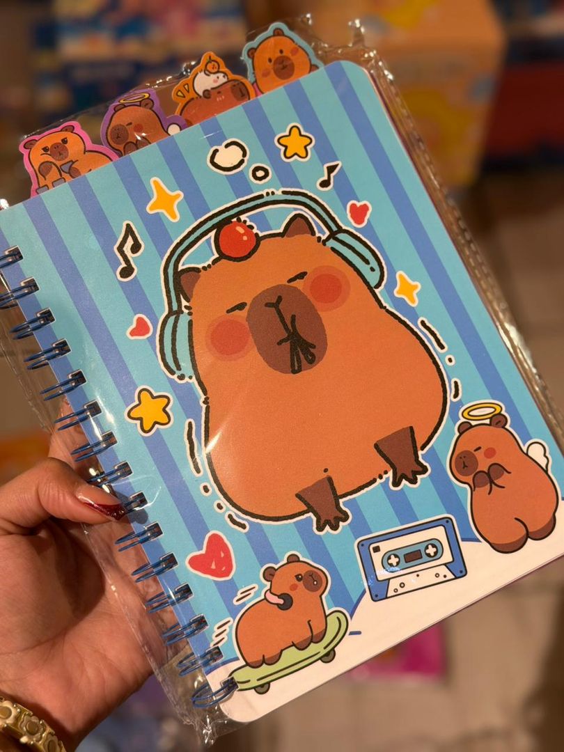 CUADERNO CAPI 5 MATERIAS 4130