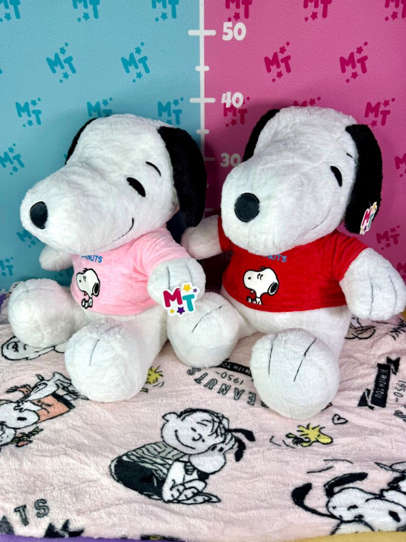 Cobija Snoopy profesiones TTN