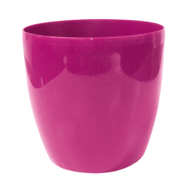 MATERA BAHÍA - imagen 5