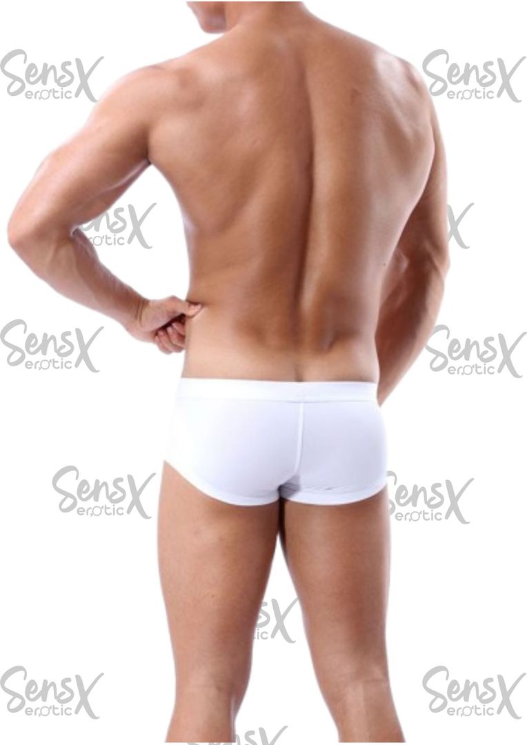 calzoncillos tipo brief para hombre