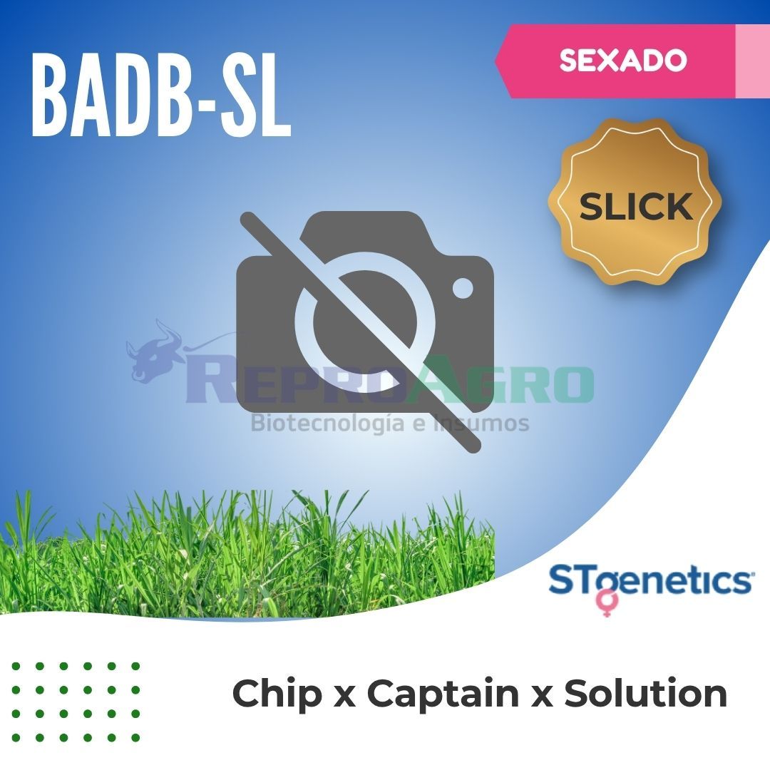 BADB-SL SEXADO