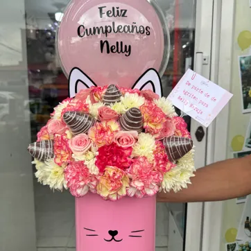 Imagen del producto Box miau