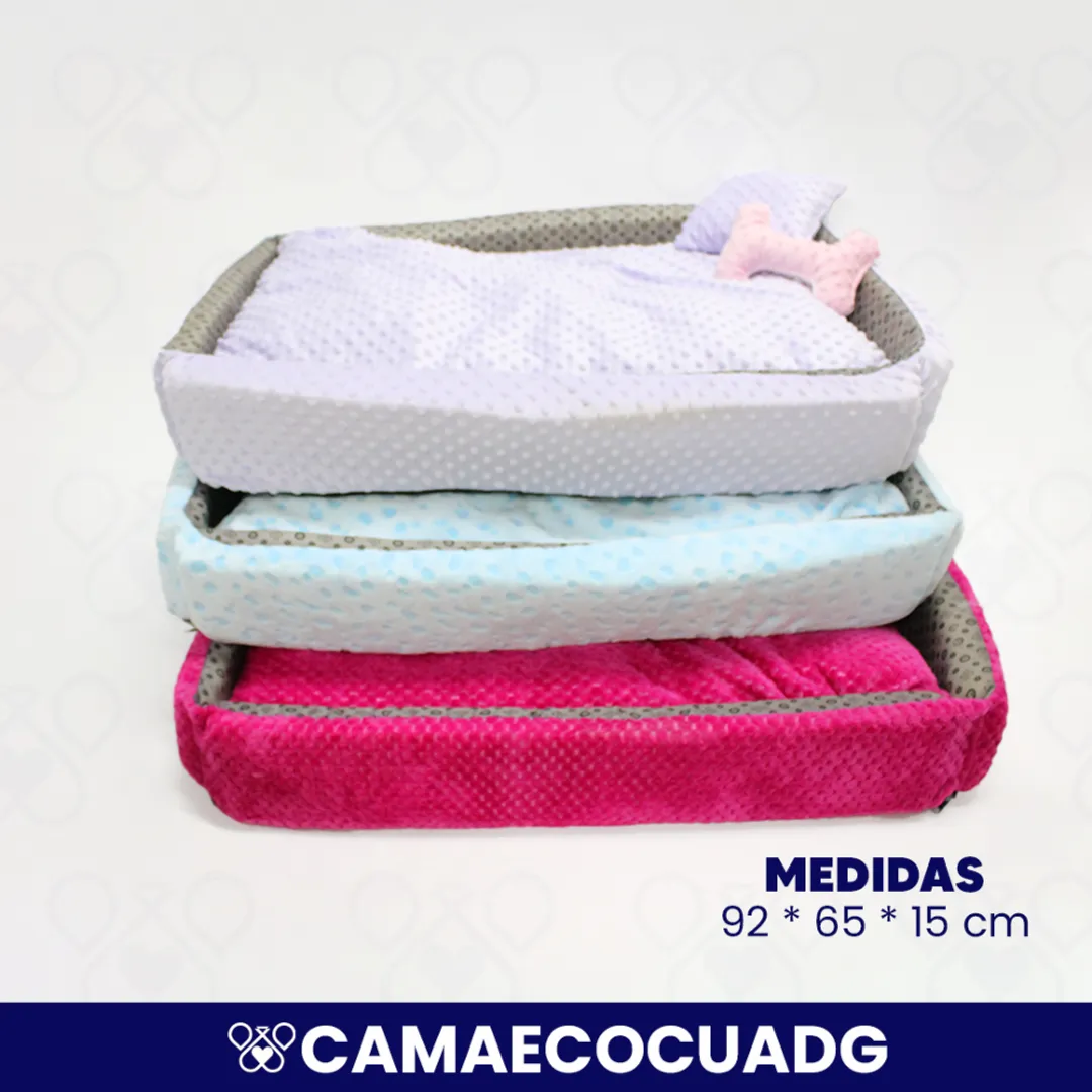 CAMAECOCUADG