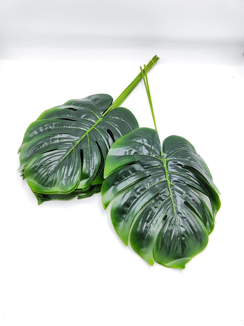 PQT HOJAS POR 12  PM 039-2 