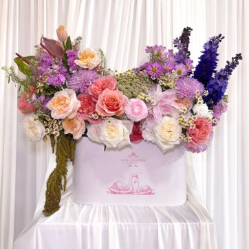 BOX SWAN - imagen 1