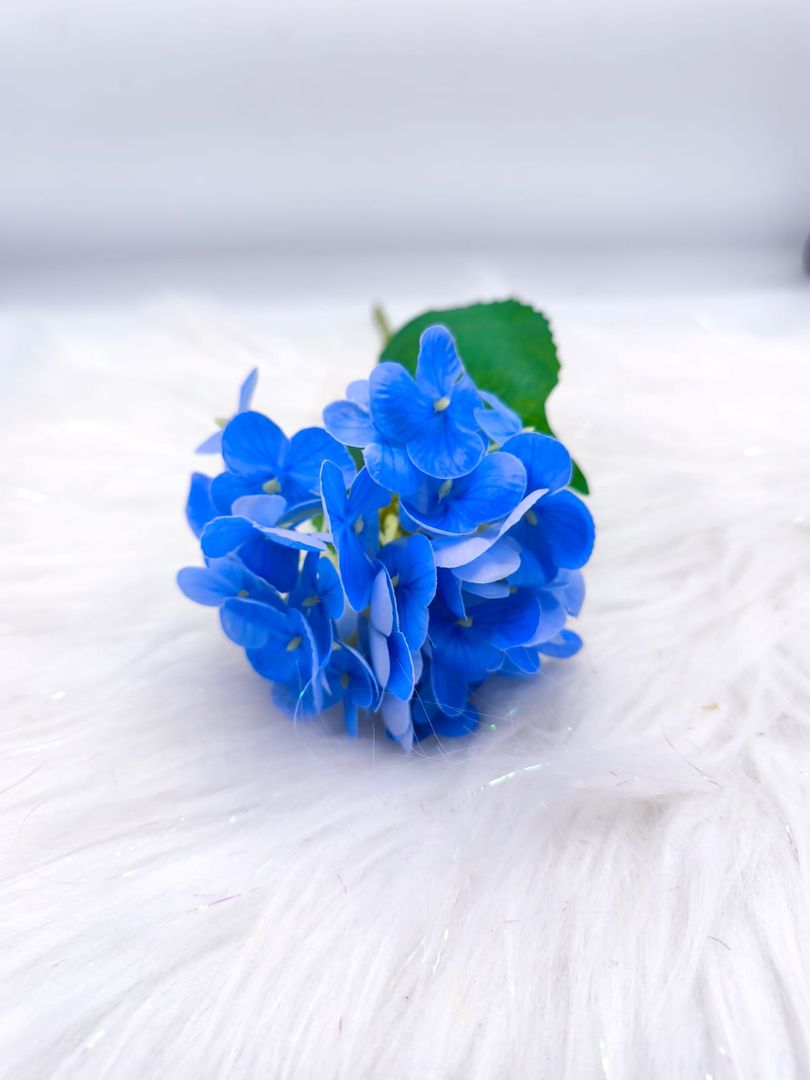 HORTENCIA INDIVIDUAL TG 663