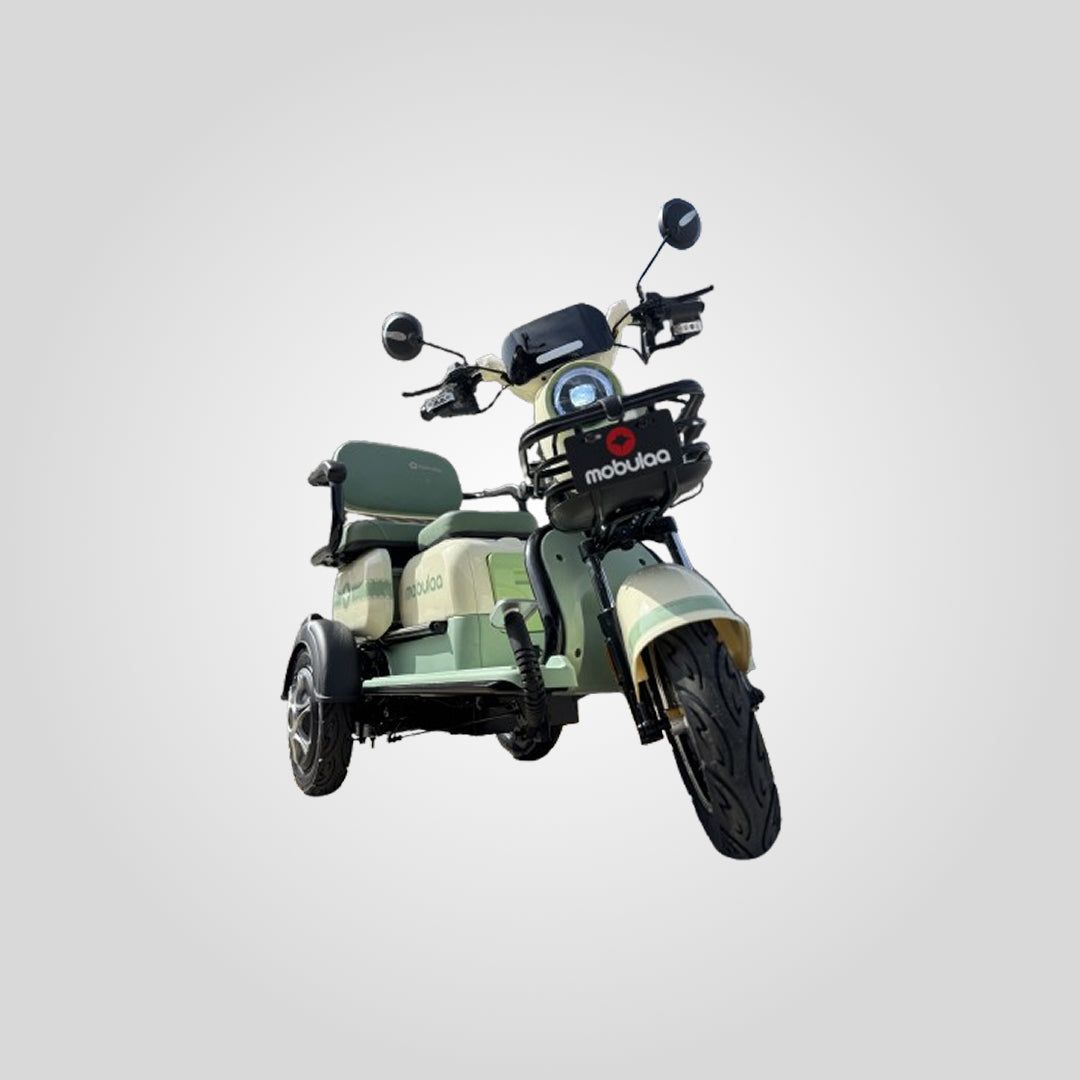 TRICIMOTO ELECTRICA - MOBULA FAMILY M1