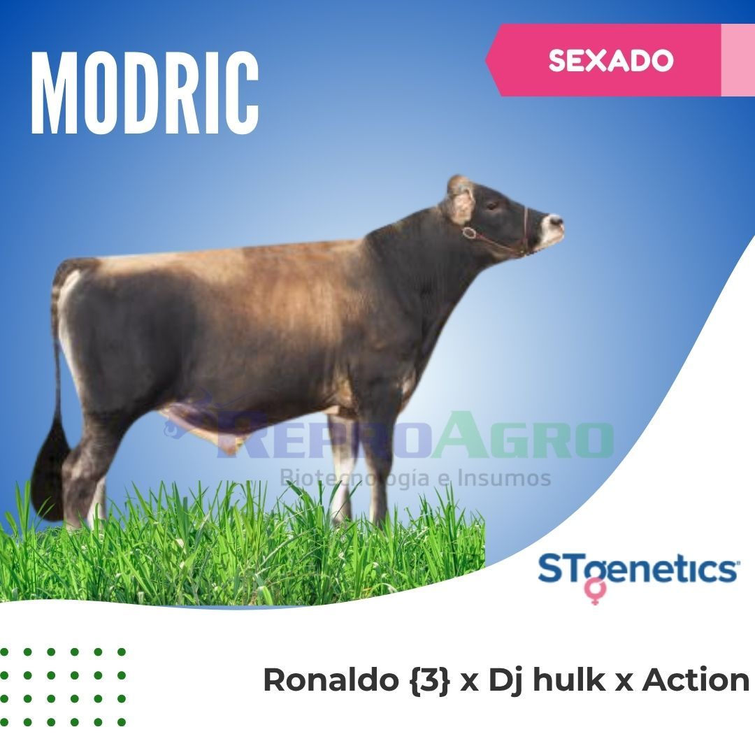 MODRIC SEXADO